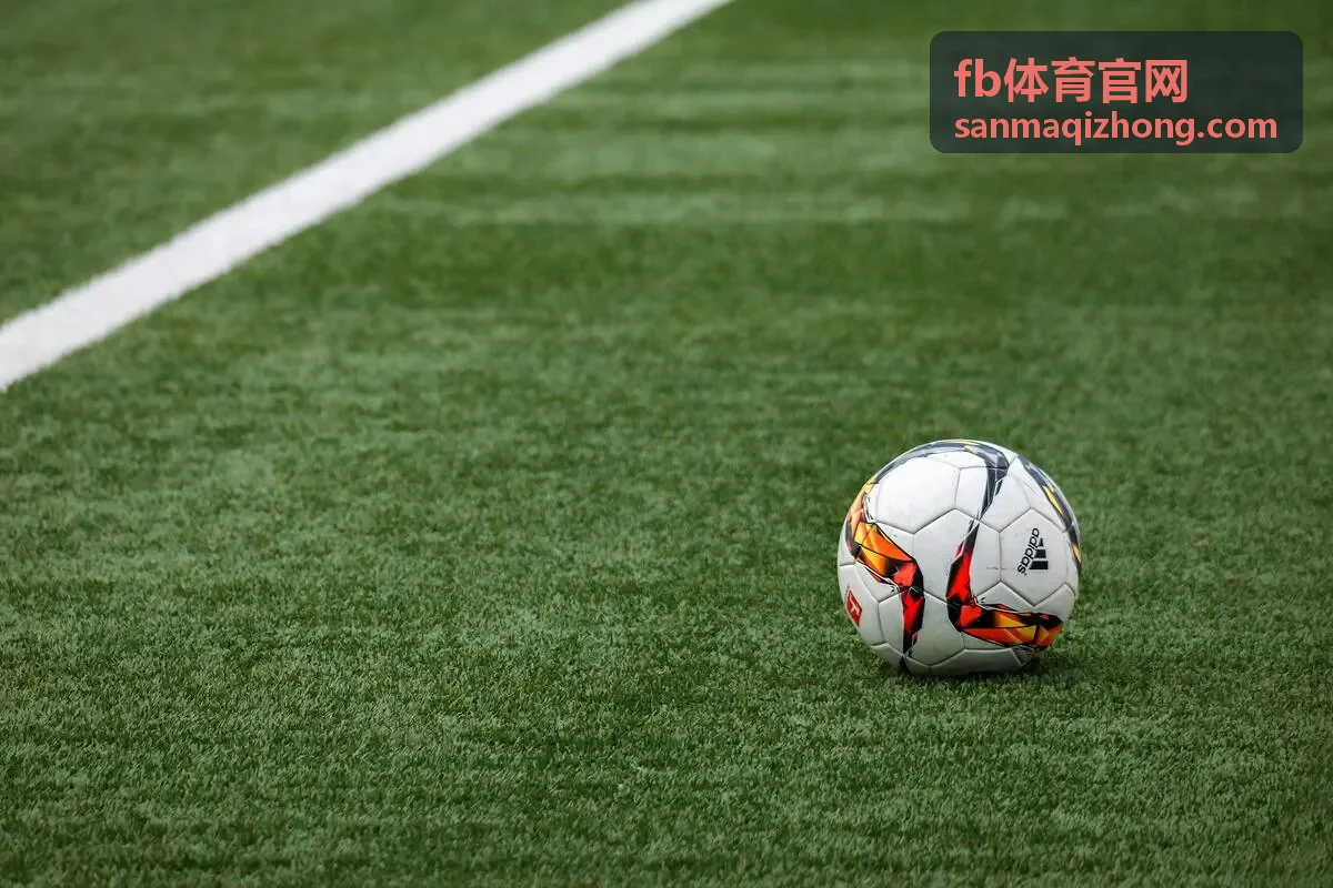 fb体育官网服务帮助栏目介绍图